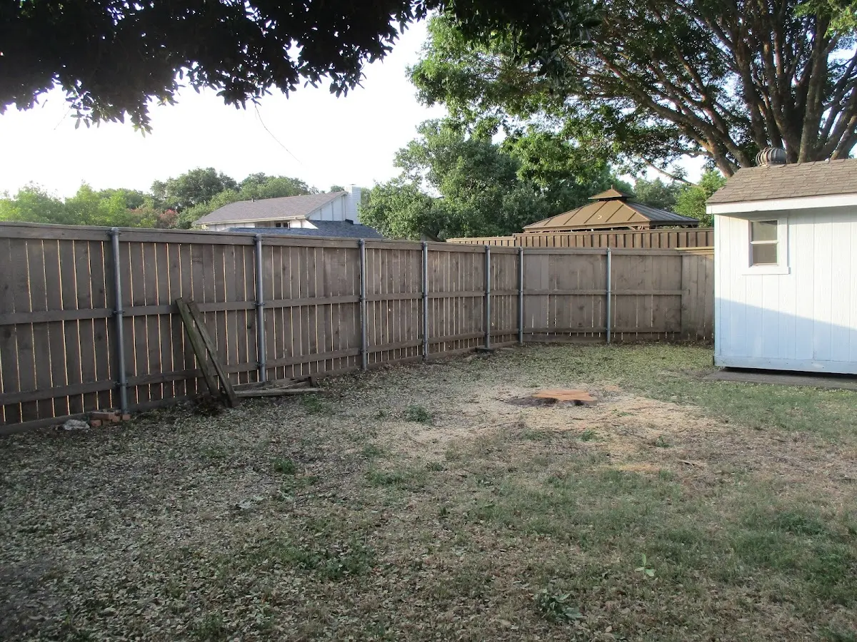 Cleared yard after professional tree removal in Orosi